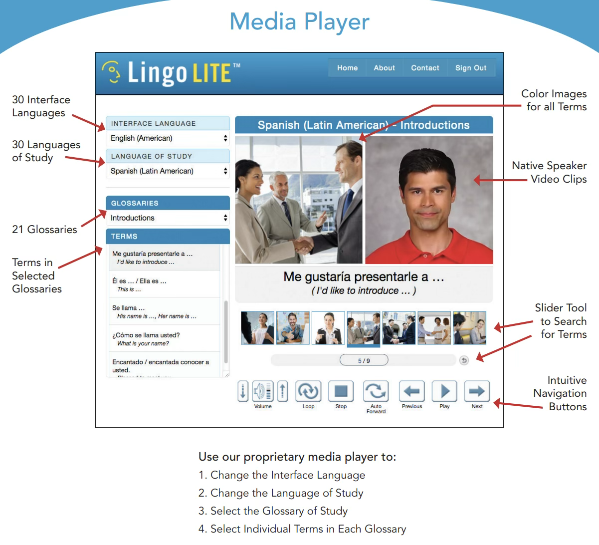 Lingo Lite Navigation Screenshot